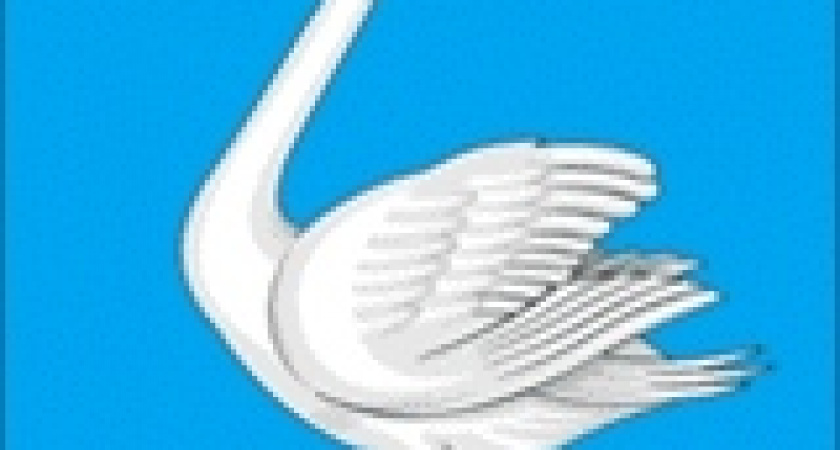 Историки поставили «неуд» властям