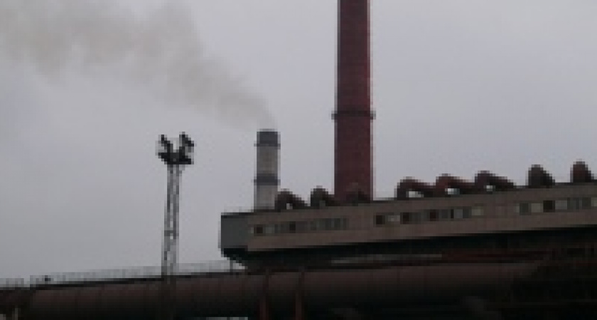 Новые виды журавлей поселились на Новолипецком комбинате