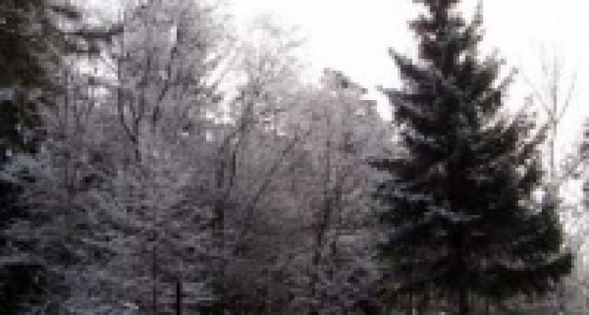 Мэр Липецка ввел ограничения для Матырского кладбища