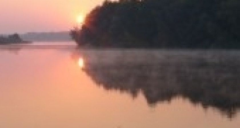 Росприроднадзор исследует пятно на поверхности реки Воронеж