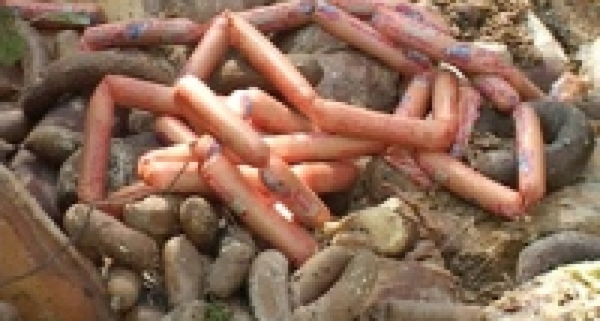 Колбасно-сосисочные горы в лесу