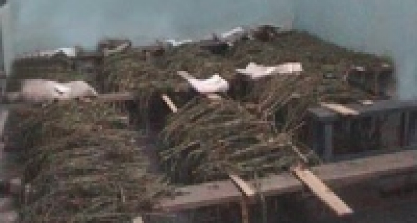 10 кг марихуаны и гашиша попали в руки наркополицейских