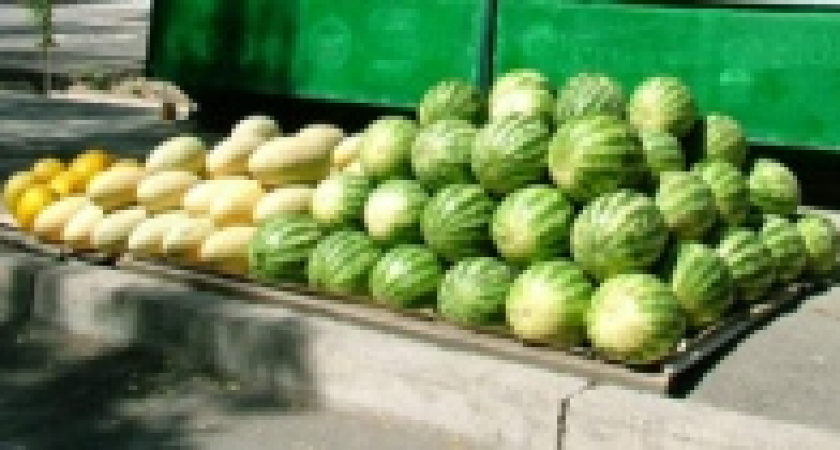 «Нитратные» дыни