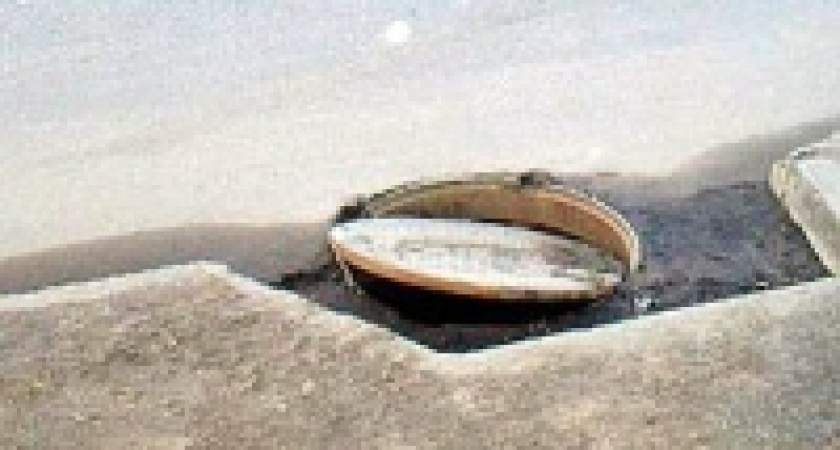 7-месячный малыш упал в колодец