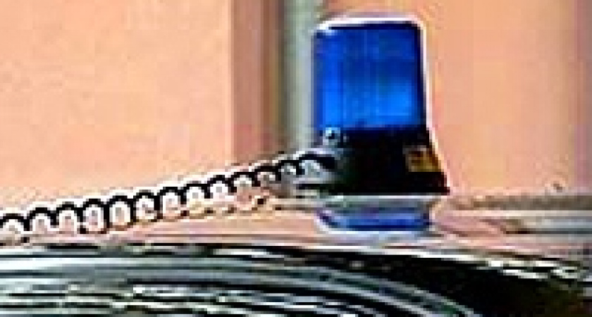 Иномарка врезалась в задонское дерево