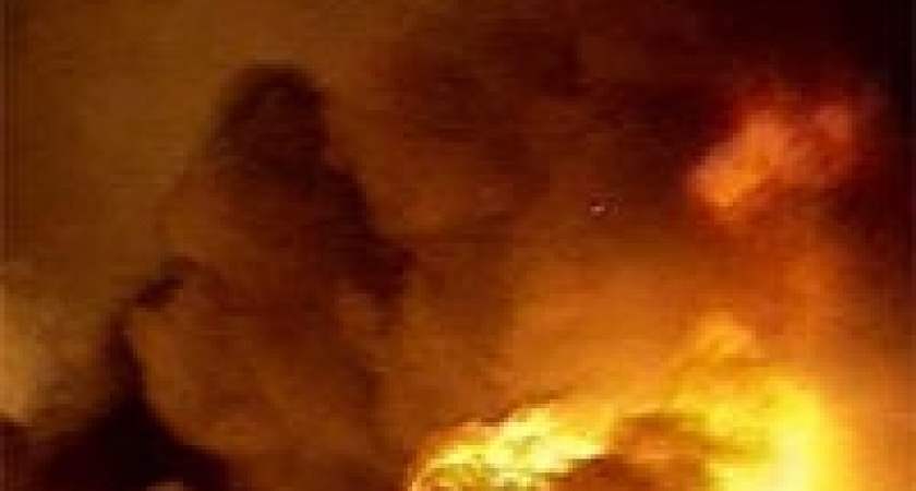 11 липчан лишились сна