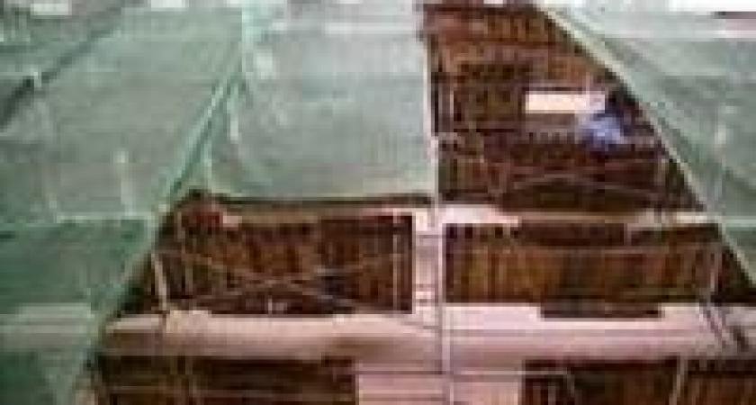 Полчаса ужаса на седьмом этаже