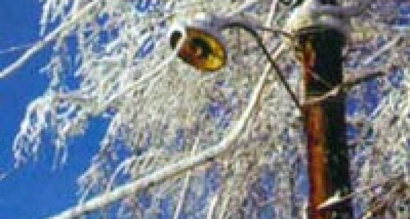 Мокрый снег лишил жителей Липецкой области радостей электроснабжения