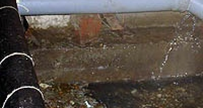 Дом «призрения»