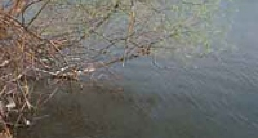 Стихийное бедствие в подвале