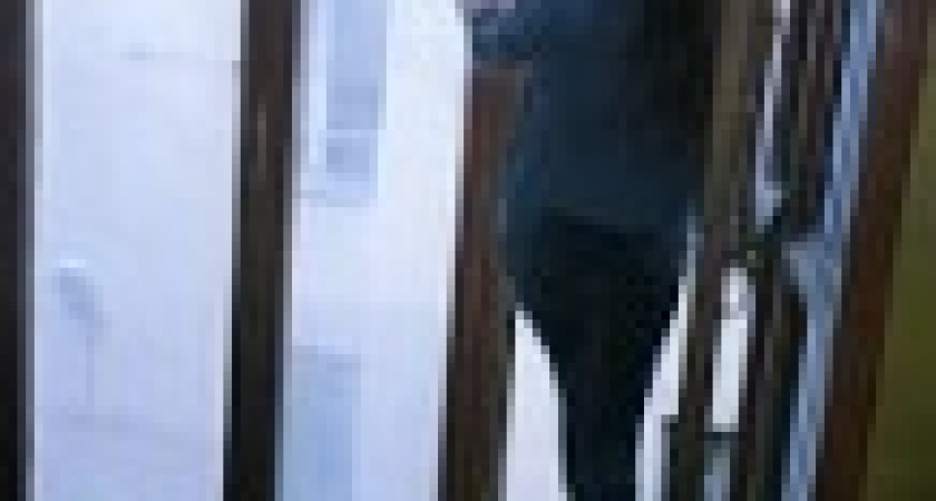 Самоубийца дала себя уговорить