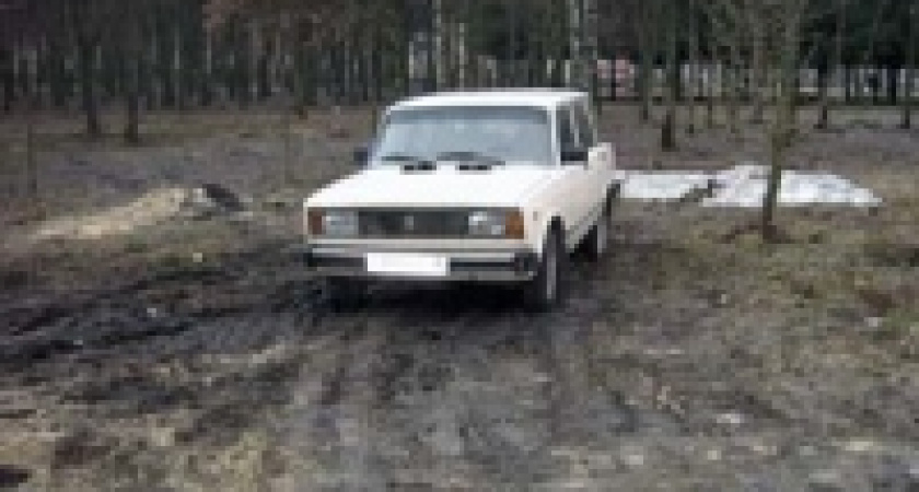 Липчане стали активнее доносить