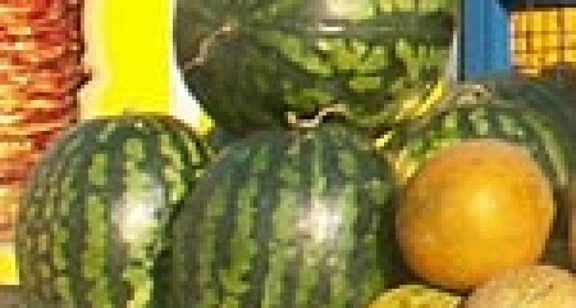 В Липецке открываются 164 торговые точки