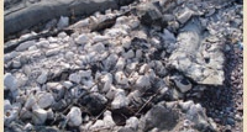 Прокуратура проверила порядок утилизации опасных отходов