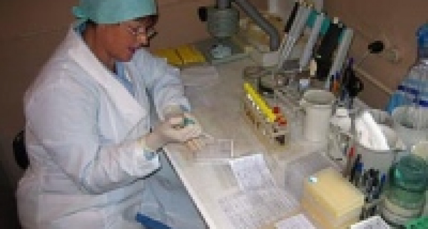 В Липецкой области ребенок заболел клещевым боррелиозом