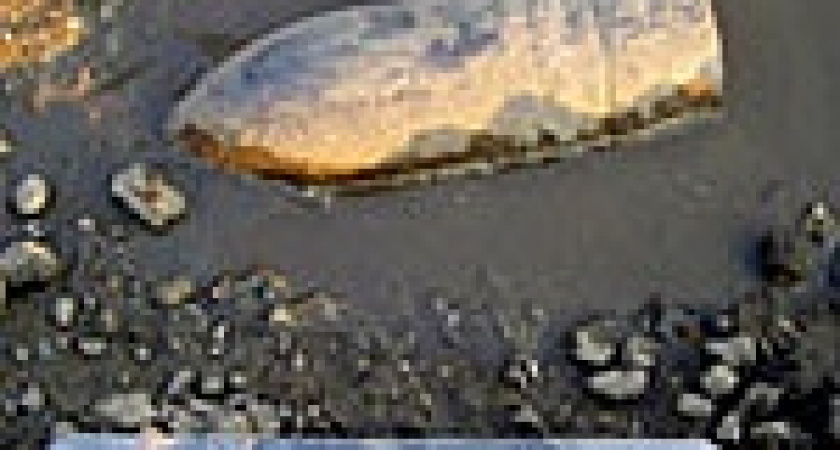 Урожай времен Великой Отечественной