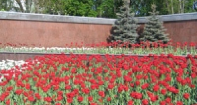 Завтра День пограничника