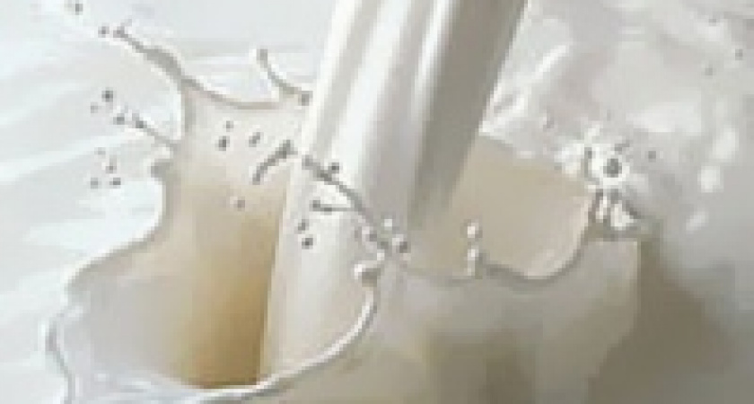 В чаплыгинском молоке обнаружили бактерии