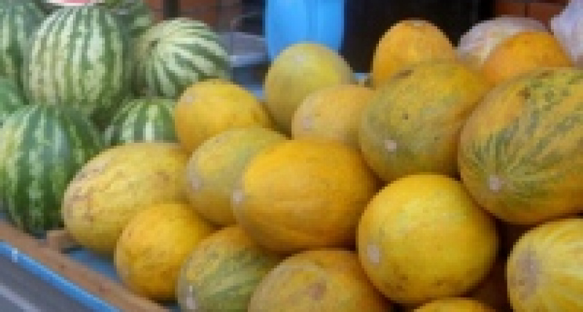 Сто сорок килограммов вредных дынь