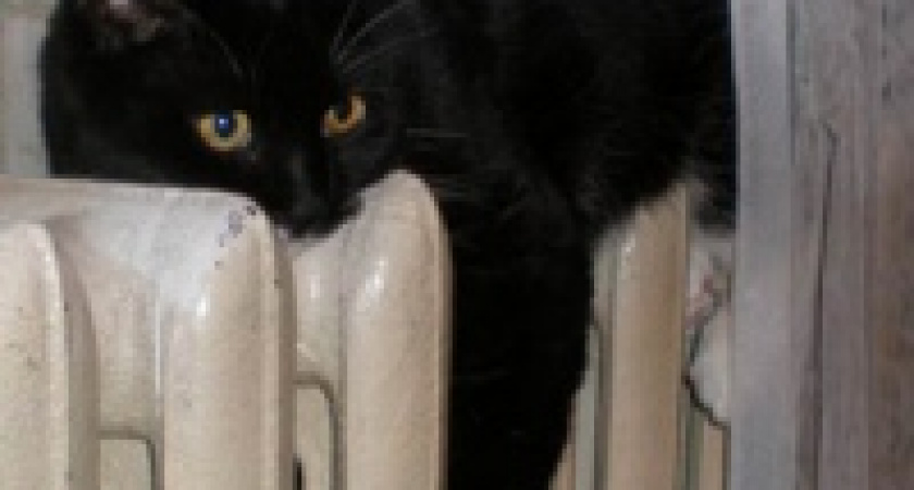 ЛГЭК не угрожает, а предупреждает