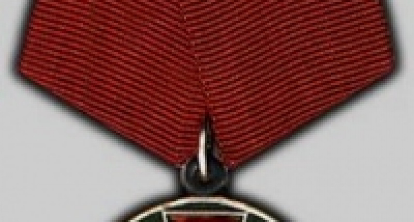 Медведев наградил липчан