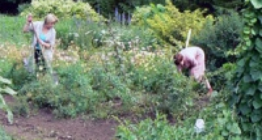 За общественную работу в 2008 году платили по 5 тысяч