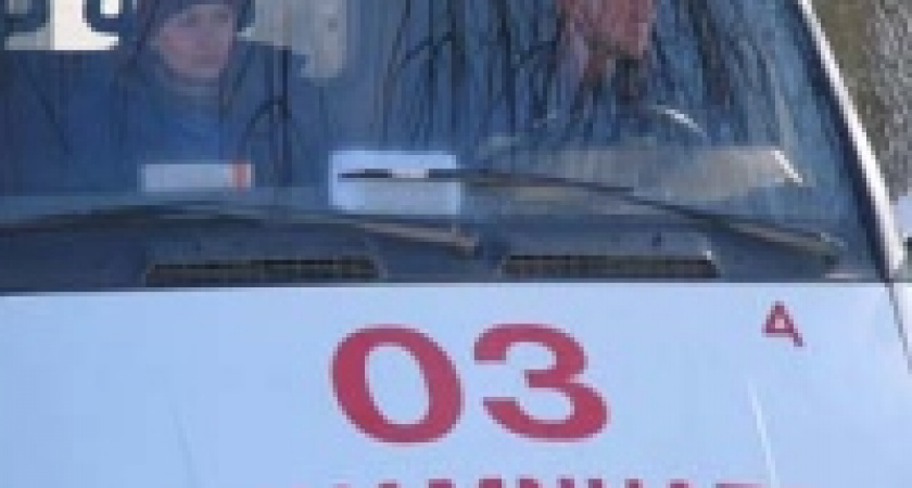 В Липецке двухметровая сосулька упала на ветерана войны 