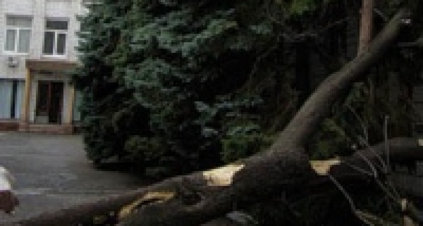 Неласковый летний дождь