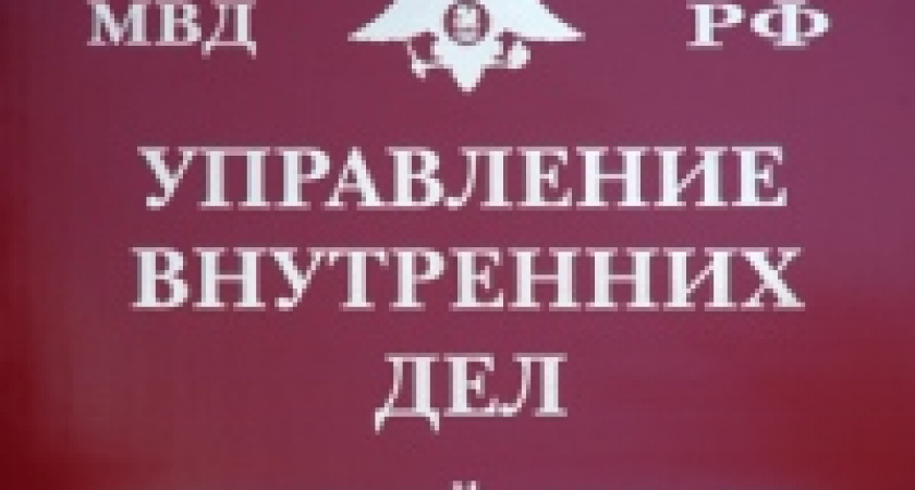 В Липецке задержаны 13-летние грабители 