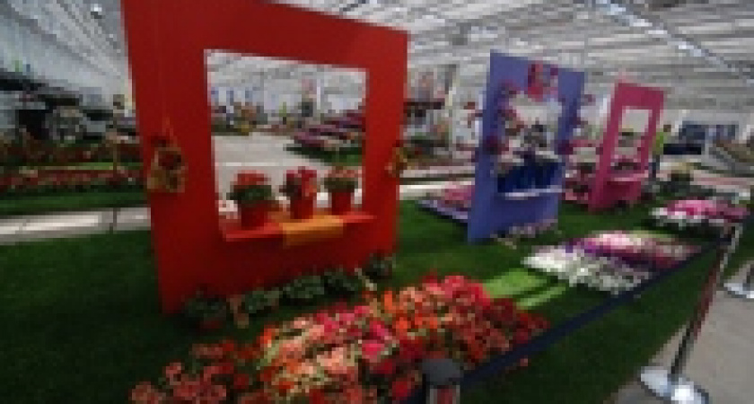 Голландский &laquo;зеленхоз&raquo; лучший друг липецкого