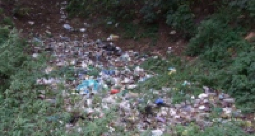 В старинном парке мерзость запустения