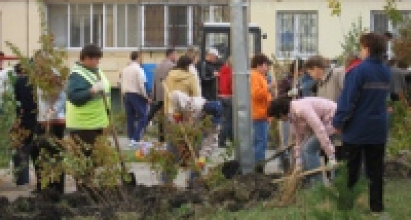 В подарок за гражданскую позицию