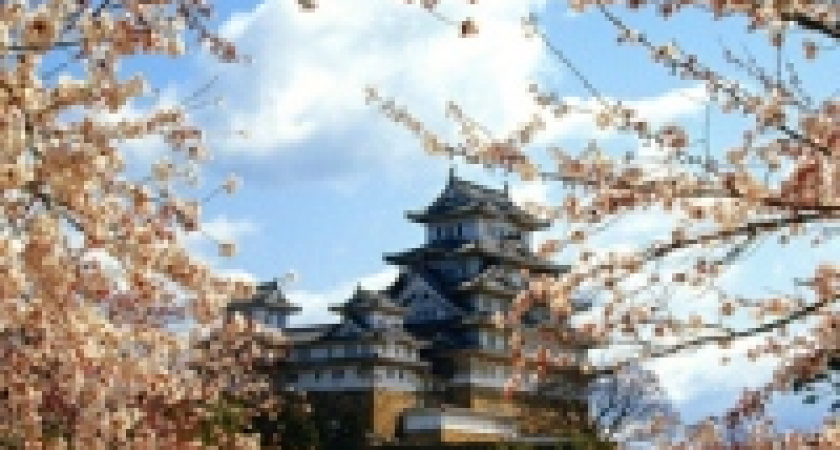 Липчанам бесплатно покажут японские фильмы