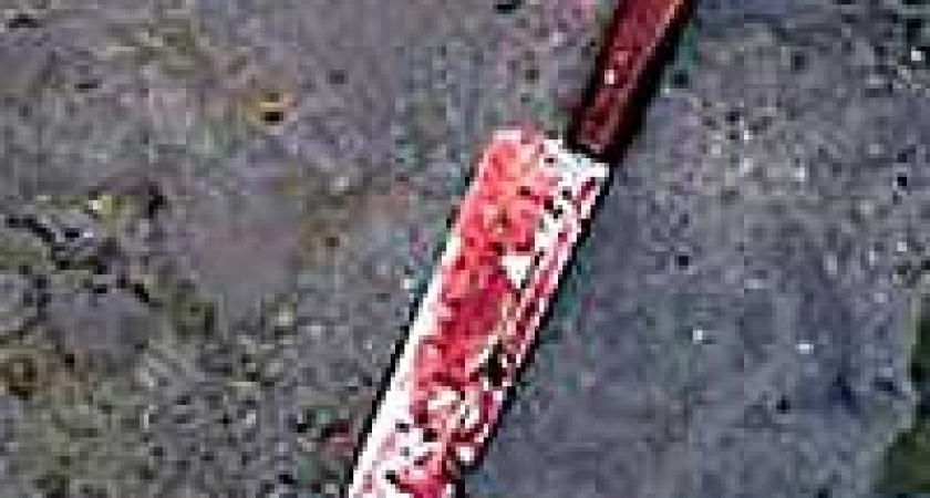 Саданул под сердце финский нож