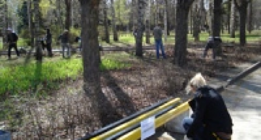 Дошколята посадят в парке березы