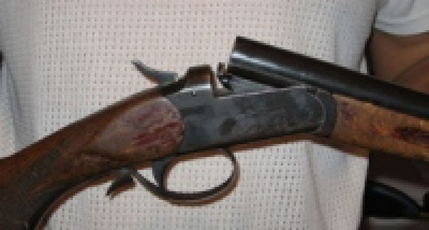 Лиса не успела наброситься на людей...