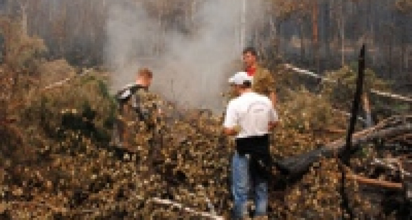 Единороссы в минувшие выходные помогали тушить пожар в Кривецком лесничестве