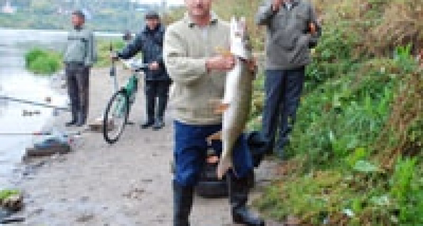 В Липецкой области выловили щуку-тяжеловеса 