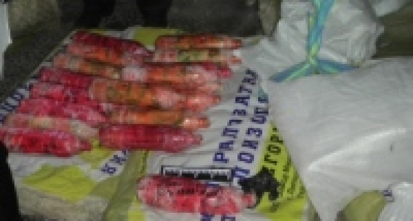 Липецкие чекисты задержали организатора наркотрафика из Центральной Азии