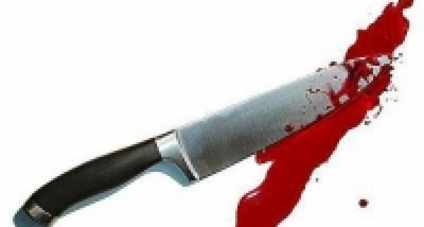 Конфликт односельчан в Становом закончился убийством