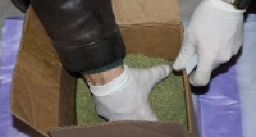 В Липецкой области изъяты 3,5 кг зелья