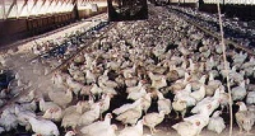 Аграрии получат льготу по налогу на имущество