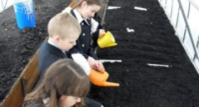 Школы готовятся к зиме