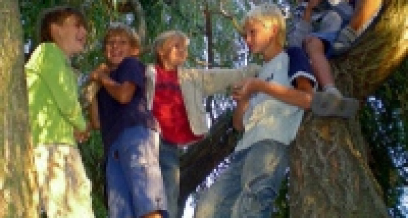 Единороссы открывают «горячую линию» детского доверия