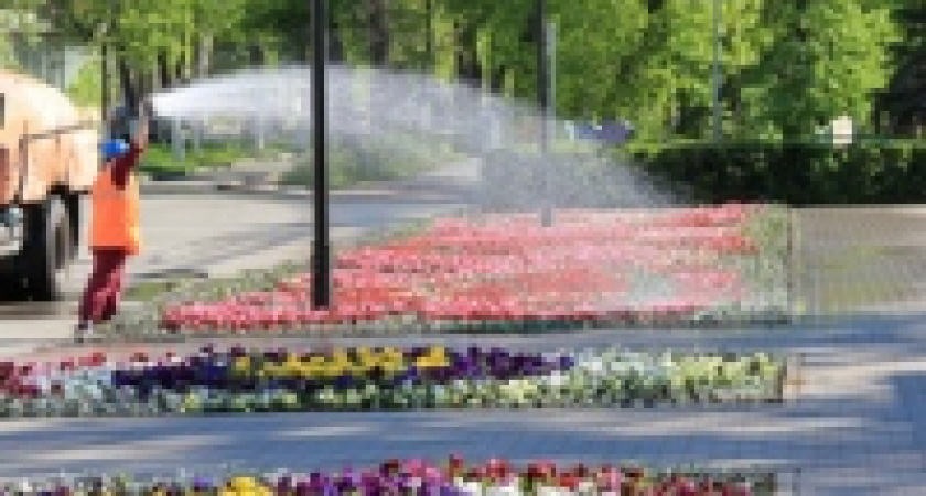 Двести кубометров воды для спасения липецких клумб