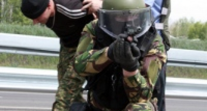 В Липецке задержана банда угонщиков