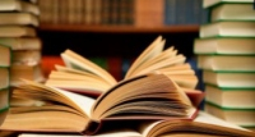 Липчане собрали около двух тысяч книг для осужденных 