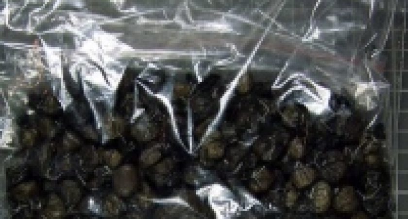 Разоблачены две цыганские семьи, торговавшие наркотиками