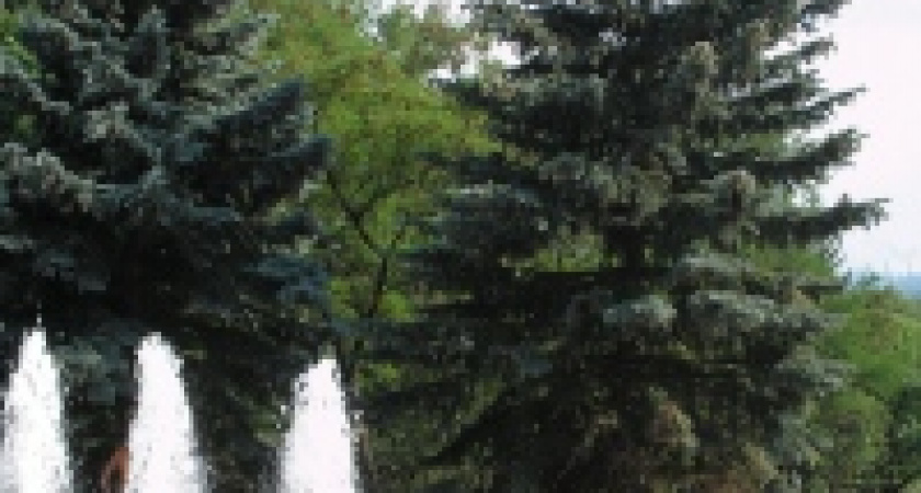 Больше половины опрошенных жителей региона отмечают улучшение экологии