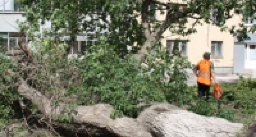 За субботу и воскресенье из липецких дворов вывезено около 1,5 тысячи кубометров снесенных ураганом деревьев и ветвей